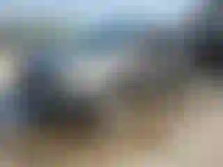 Vehicle Image- 2014 Ford Escape