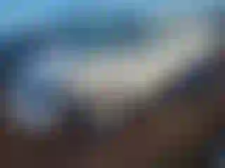 Vehicle Image- 2016 Ford Escape