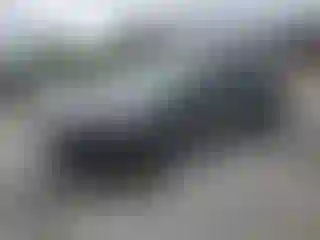 Vehicle Image- 2019 Ford Escape