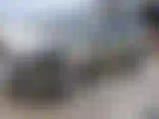 Vehicle Image- 2013 Ford Escape