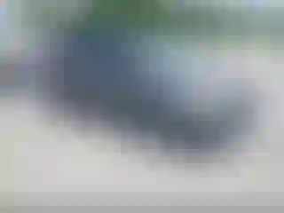 Vehicle Image- 2014 Ford Escape