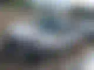 Vehicle Image- 2017 Ford Escape