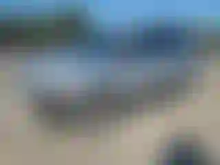 Vehicle Image- 2016 Ford Escape