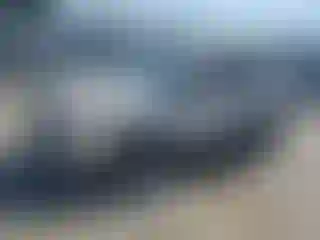 Vehicle Image- 2013 Ford Escape