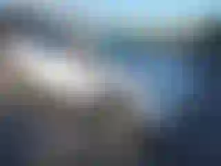 Vehicle Image- 2016 Ford Escape