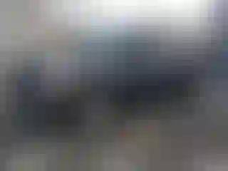 Vehicle Image- 2016 Ford Escape