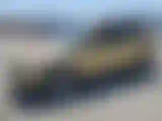Vehicle Image- 2014 Ford Escape