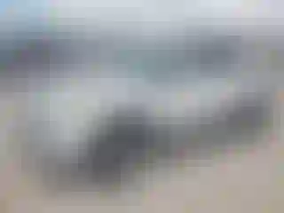 Vehicle Image- 2014 Ford Escape