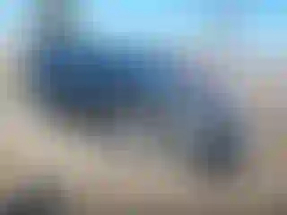 Vehicle Image- 2017 Ford Escape