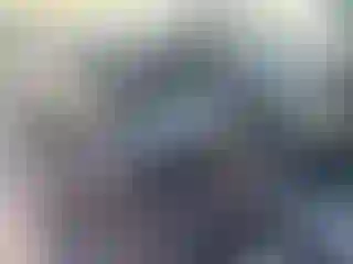 Vehicle Image- 2017 Ford Escape