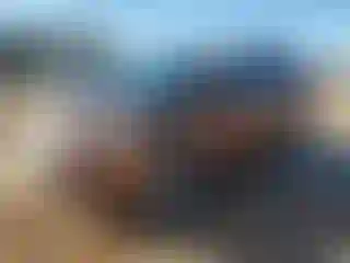 Vehicle Image- 2017 Ford Escape