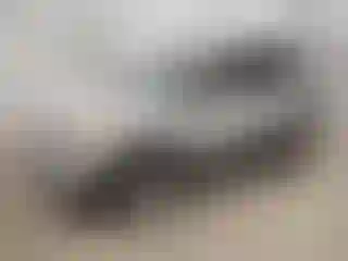 Vehicle Image- 2017 Ford Escape