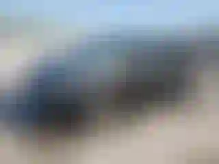 Vehicle Image- 2019 Ford Escape