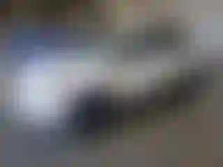 Vehicle Image- 2019 Ford Escape