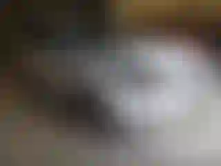 Vehicle Image- 2019 Ford Escape