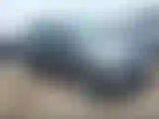 Vehicle Image- 2017 Ford Escape