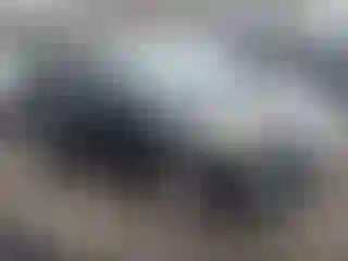 Vehicle Image- 2018 Ford Escape