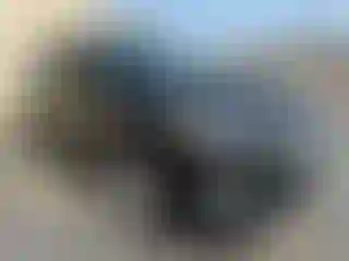 Vehicle Image- 2019 Ford Escape