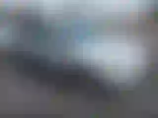 Vehicle Image- 2019 Ford Escape