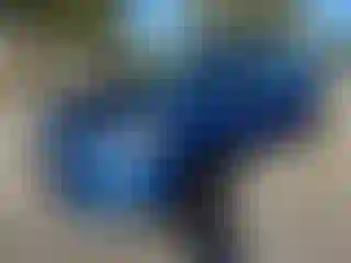 Vehicle Image- 2017 Ford Escape