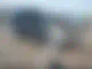 Vehicle Image- 2017 Ford Escape