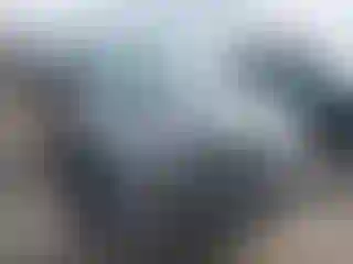 Vehicle Image- 2019 Ford Escape