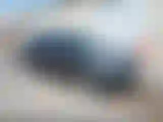 Vehicle Image- 2019 Ford Escape