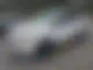 Vehicle Image- 2019 Ford Escape