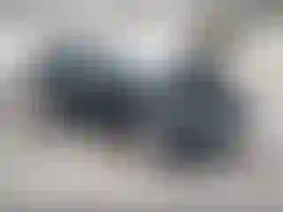 Vehicle Image- 2017 Ford Escape