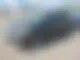 Vehicle Image- 2017 Ford Escape