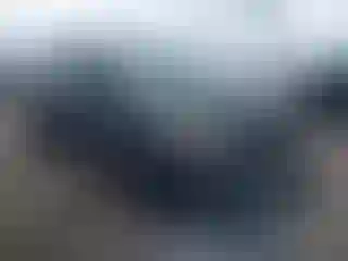 Vehicle Image- 2017 Ford Escape