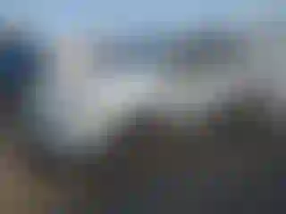 Vehicle Image- 2019 Ford Escape
