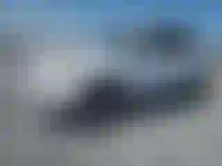 Vehicle Image- 2017 Ford Escape