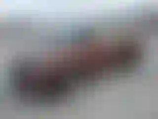 Vehicle Image- 2018 Ford Escape