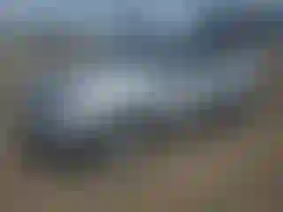 Vehicle Image- 2019 Ford Escape