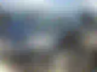 Vehicle Image- 2019 Ford Escape