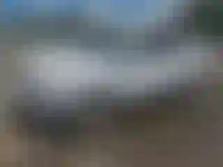 Vehicle Image- 2019 Ford Escape