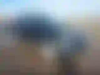 Vehicle Image- 2019 Ford Escape