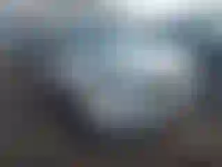 Vehicle Image- 2019 Ford Escape