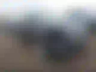 Vehicle Image- 2017 Ford Escape
