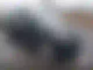 Vehicle Image- 2017 Ford Escape