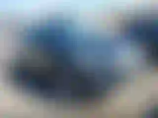 Vehicle Image- 2017 Ford Escape
