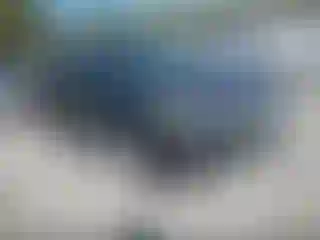 Vehicle Image- 2018 Ford Escape