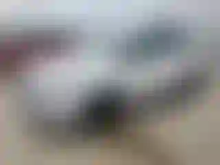 Vehicle Image- 2019 Ford Escape