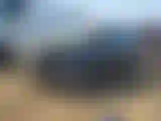 Vehicle Image- 2019 Ford Escape