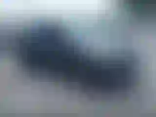 Vehicle Image- 2017 Ford Escape