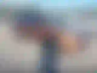 Vehicle Image- 2017 Ford Escape