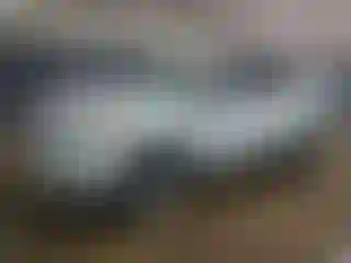 Vehicle Image- 2018 Ford Escape