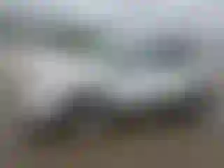 Vehicle Image- 2019 Ford Escape