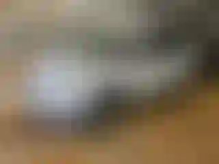 Vehicle Image- 2017 Ford Escape